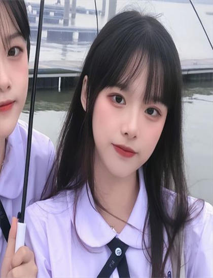 晚酌的流派 第四季观看手册：把握导演风格与创作特点 获得心灵启迪的实用方法